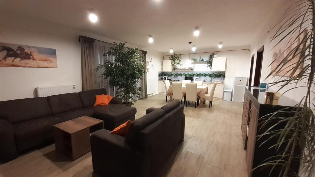 Bibic Apartman A Kapolnasnyek 外观 照片