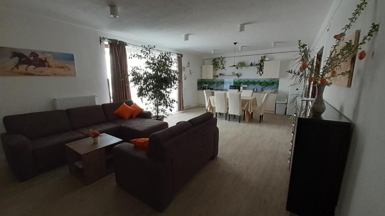 Bibic Apartman A Kapolnasnyek 外观 照片